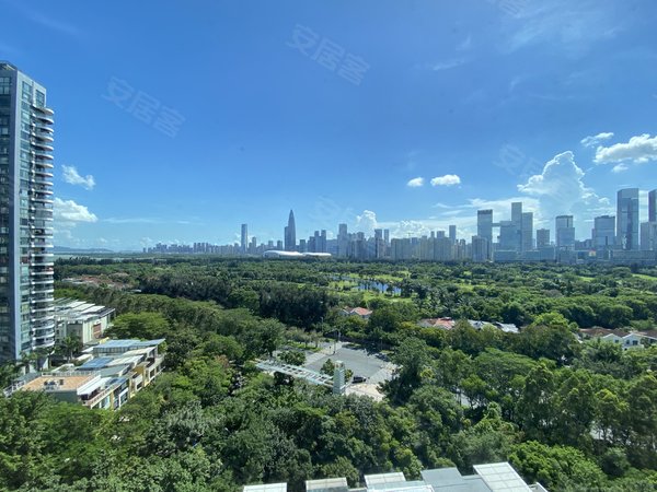 深圳南山华侨城中信红树湾(北区)红树湾北区五期景观房,高层景观无