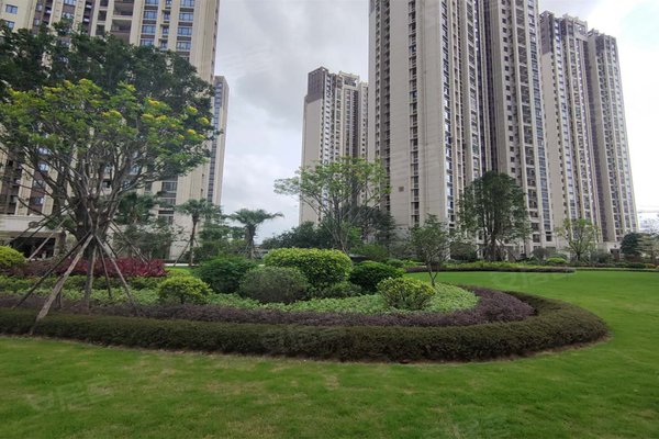 惠州小区 惠城小区 江北新区小区 金地湾 0人觉得很赞2020年