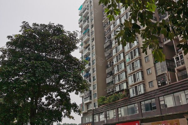 怡和山庄,吉榕路 - 深圳怡和山庄二手房,租房,房价-深圳安居客