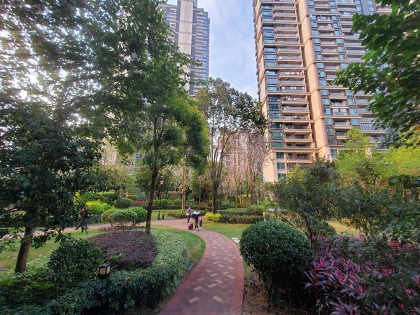 广州海珠琶洲保利天悦保利天悦丨南向三房丨小区中央丨正望花园出租