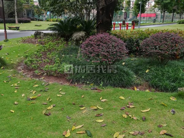 重庆两江新区回兴申佳上海时光30号新上地铁9号线出口旁上海时光精装3