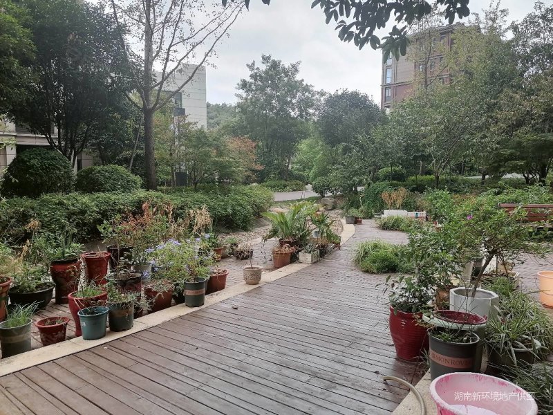 长沙房产网>长沙二手房>岳麓二手房>长郡双语中学二手房>旭辉藏郡>800