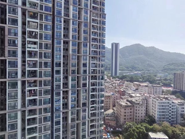 深圳南山大学城崇文花园崇文花园高档精装花园小区 两房双阳台 干净