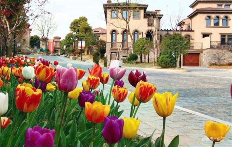 拥有新湖仙林翠谷,尽可享受优渥生活!,新湖仙林翠谷二手房,366万,5室2