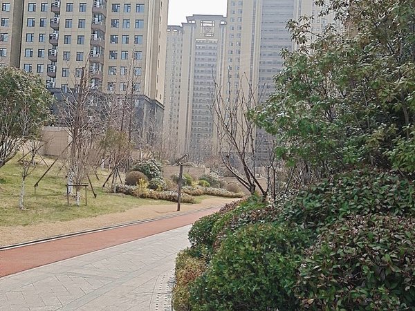 临沂兰山新闻大厦威特天元广场(商住楼)沂河观景房新闻大厦对面天元