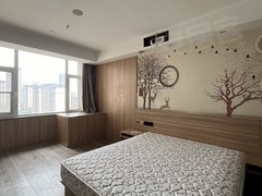 临沂蒙阴新城路伯爵公馆东向，精装修出租房源真实图片