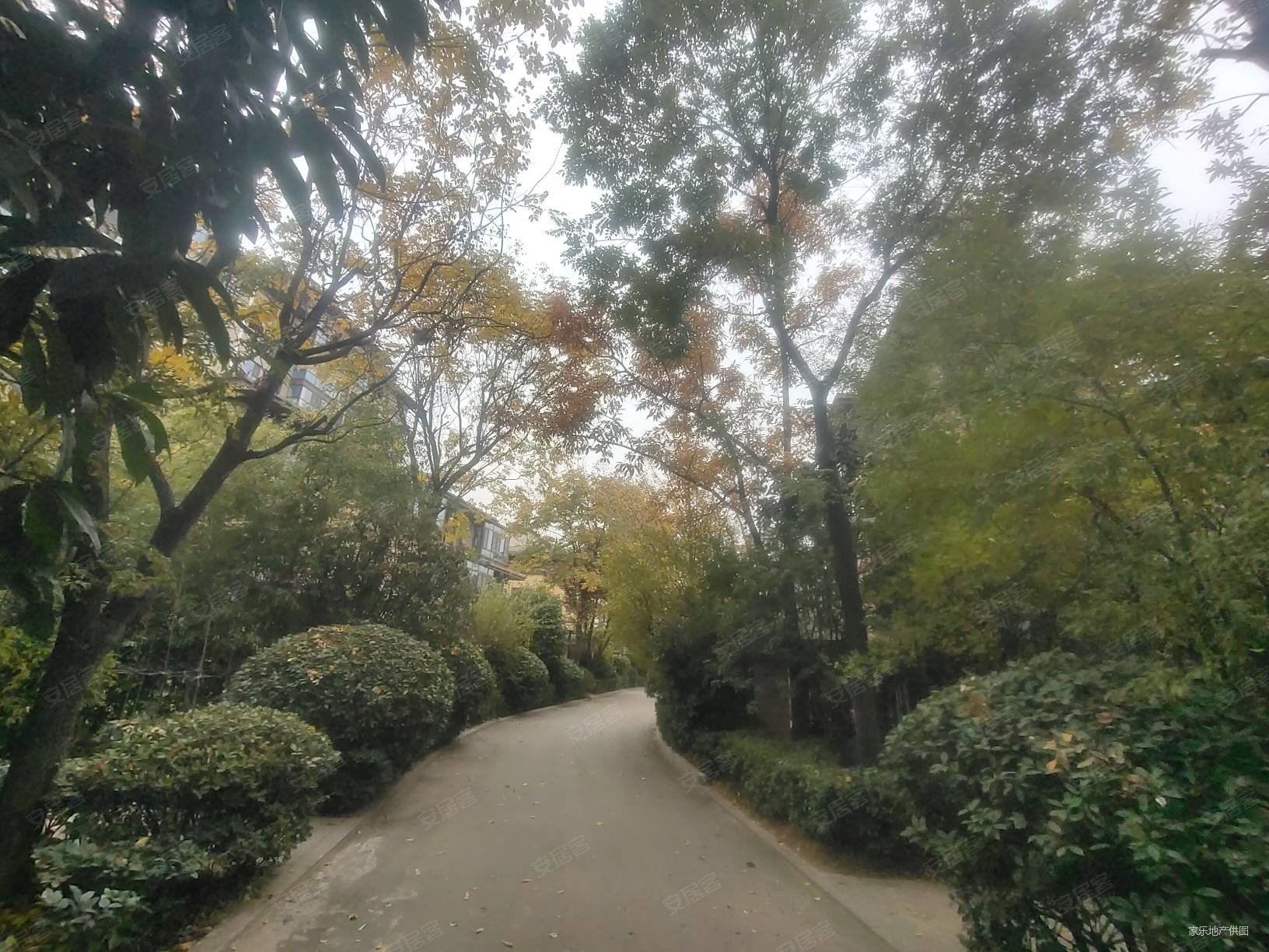 临潼鹦鹉寺公园门票图片