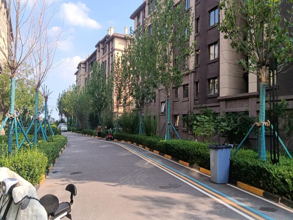 天津静海团泊镇中骏云景台集中供暖3室2厅,包取暖费  物业费1300元