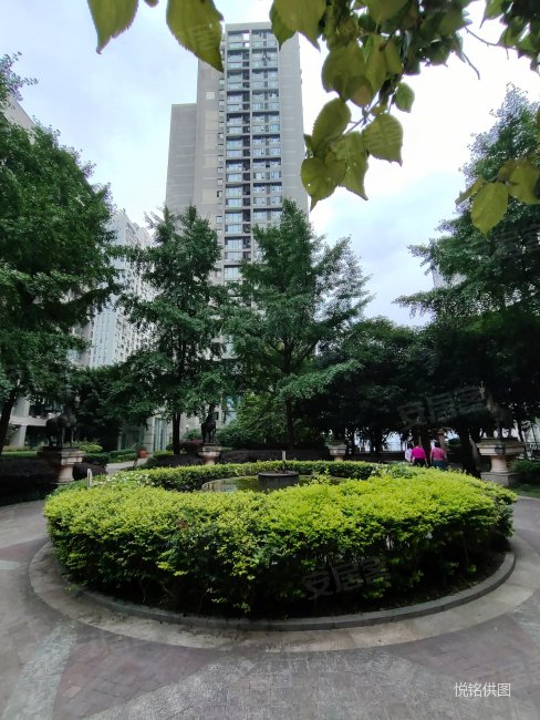 必看特价房,钱塘玫瑰湾,地铁房,精装大两房,拎包入住.