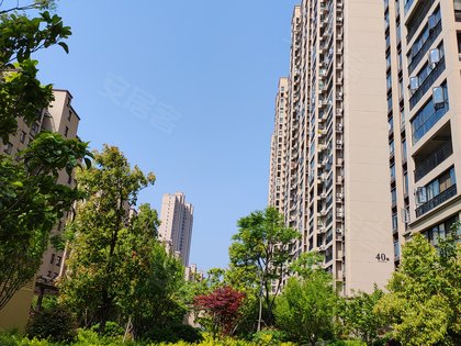 中南世纪雅苑,红梅路,近紫光路 - 潜江中南世纪雅苑二手房,租房,房价