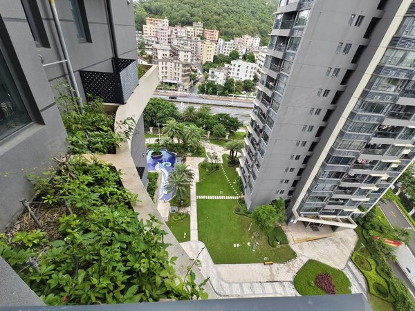 碧桂园濠月湾 全新看江景 近拱北口岸 过关港澳方便,横琴租房-珠海58