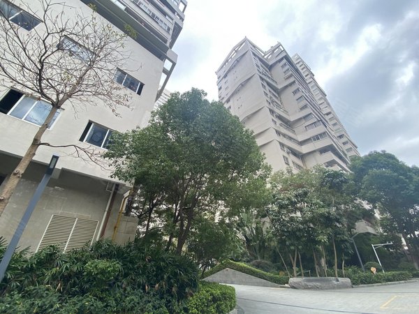 泉州洛江万安街道阳光国际广场洛江阳光国际广场两房 1300块 看房来约