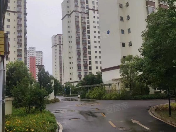 昆明呈贡马金铺林塘小区急租 林塘小区 两居室 1180元 带家具家电 带