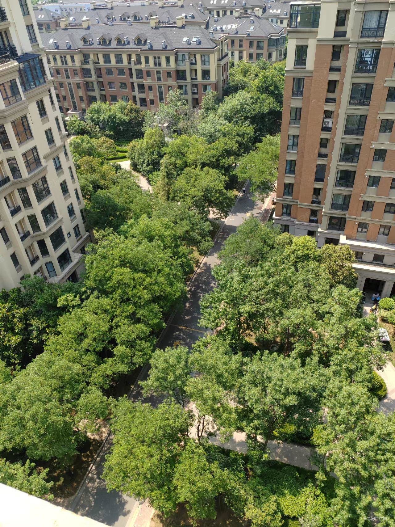 郑州房产网>郑州二手房>中牟二手房>中牟城区二手房>绿城百合花园>