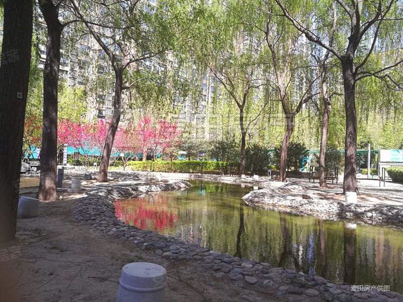北京房产网>北京二手房>朝阳二手房>双井二手房>合生国际花园(东区)>