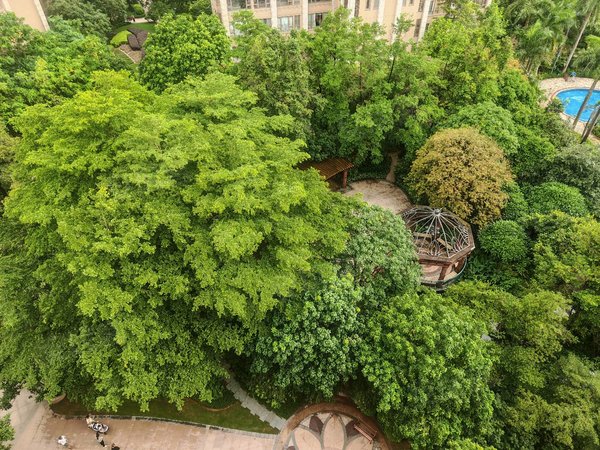 广州番禺汉溪长隆长隆珑翠长隆珑翠花园138方31户型,南北通透对流光线