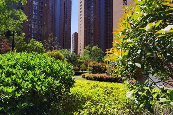 御景台(南区),丹枫路6号 - 郑州御景台(南区)二手房,租房,房价-郑州