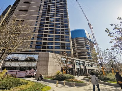 金地中心菁华,龙王大街 - 南京金地中心菁华二手房,租房,房价-南京