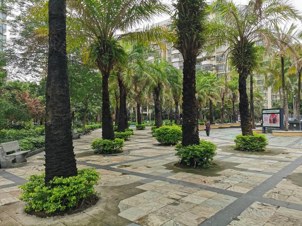 珠海香洲夏湾春泽名园夏湾市场旁春泽名园两房出租出租房源真实图片