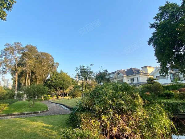 广州越秀二沙岛二沙岛云影花园云影花园新收靓房,新房出租,拎包入住