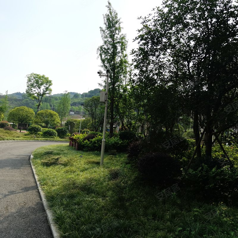 【江津锦绣华城, 江津锦绣华城小区详情,房价走势,房源,业主论坛】