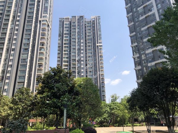 昆明五华高新区华飞新域盛景高新区地铁口标准一室一厅租1400每月新域