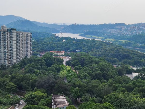 广州白云南湖南湖半山东苑半山东苑精装两房 配套齐全 拎包入住出租