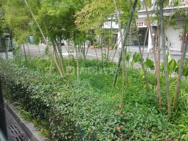 重庆北碚城南新区海宇状元府第户型方正采光好视野开阔遮挡出租房源
