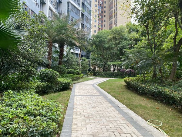 惠州惠城东江新城中信水岸城(一期)中信水岸城(一期) 3室2厅1卫出租