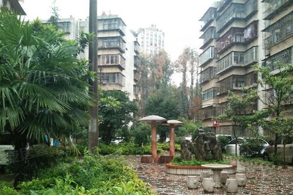 怡园小区怎么样,好不好_中介房产经纪人:谢鸿光对怡园小区的评价-昆明