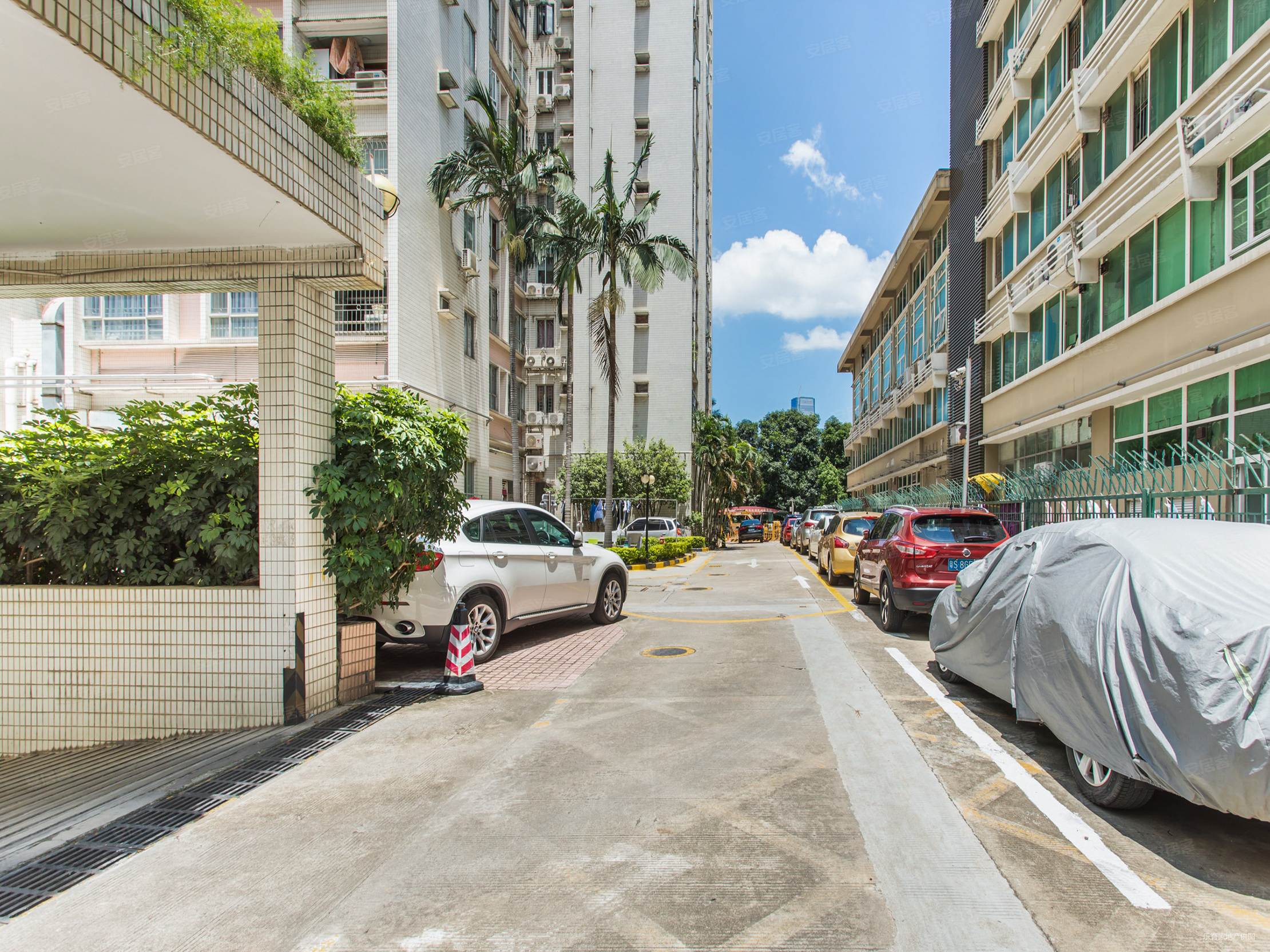 国城花园1室1厅1卫44㎡南北0万