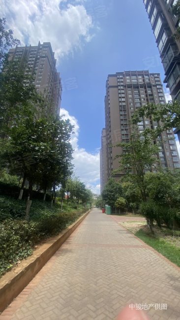 呈贡政务服务中心旁惠景园142平大三房豪华装修带车位,采光好