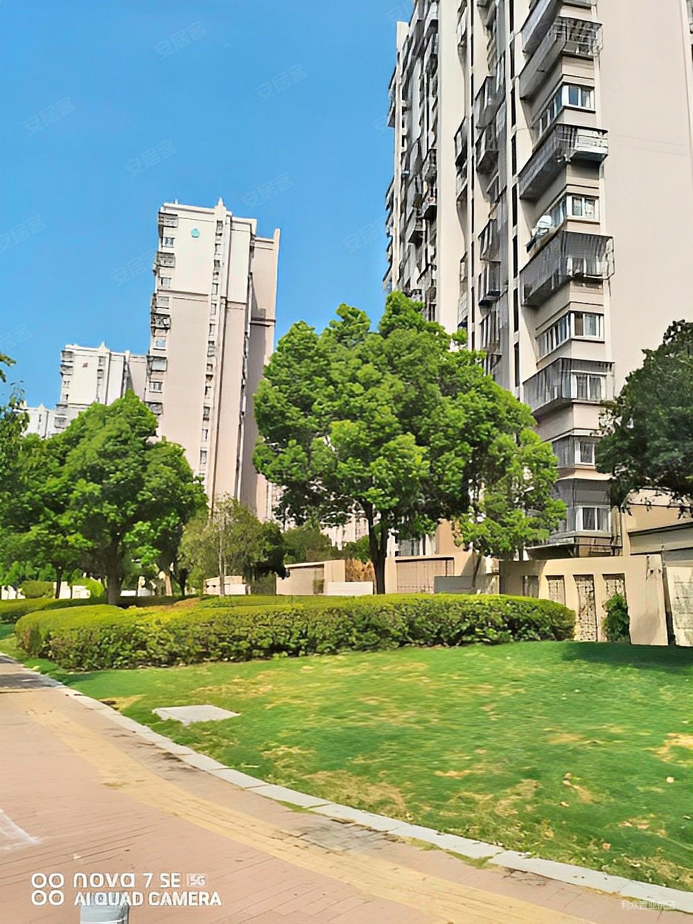 马群花港幸福城杜鹃园两室一厅边户采光好急售价格可谈