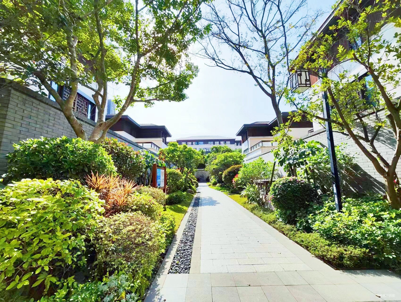 中式园林区厦门院子类独栋边套带大花园露台地下室