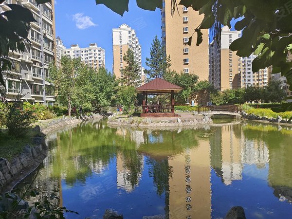 长春汽车城一汽文化宫天茂城中央(一期)急租 电梯 汽车厂创业大街越野