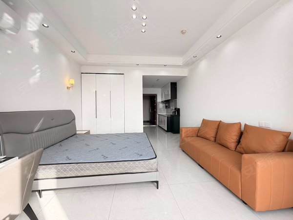 海宁海宁市区海洲城仕公寓皮革城附近 皮都公馆朝南精装1房 全新家电民用水电 采光极好出租房源真实图片