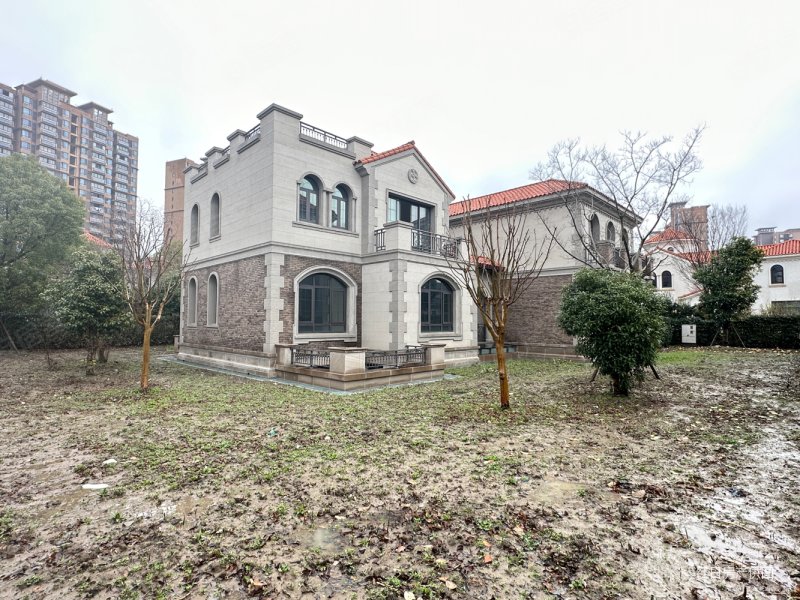 大虹桥板块 一手新房 建面740,花园1200 底价,新虹桥首府(别墅)二手房