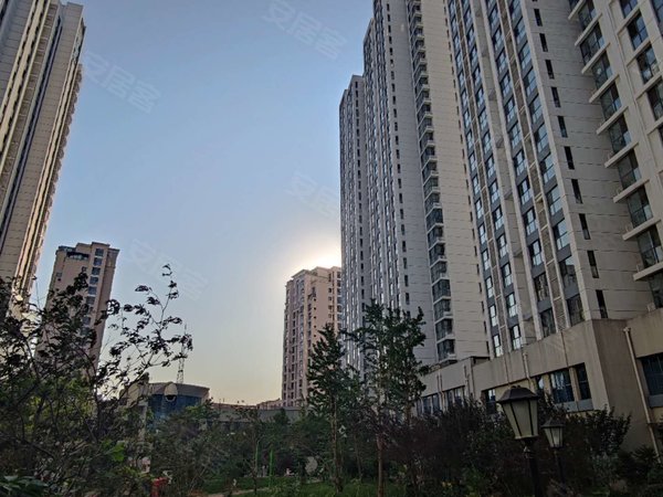 青岛李沧李村银座广场华府银座华府 李村地铁口百米 对门乐客城 双南