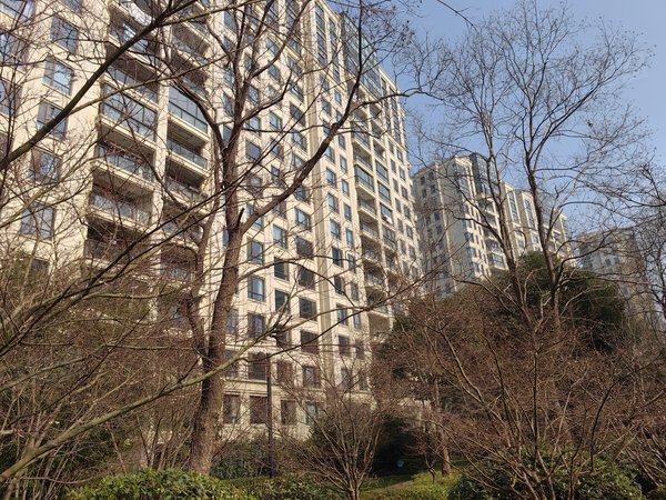 仁恒西郊花园,带泳池的小区,景观楼层,环境好, 南北通,青浦租房-上海