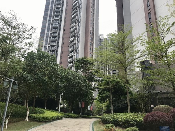 广州增城新塘汇东国际花园汇东国际 精装三房 配置齐全 环境好 生活