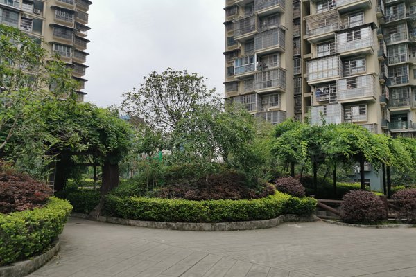 遂宁小区 船山小区 南门小区 美宁万象新天