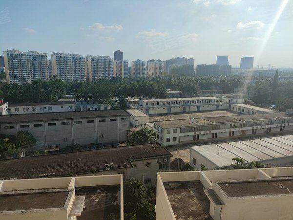 海口龙华城西金地华府龙华区椰海大道金地华府2房精装出租出租房源