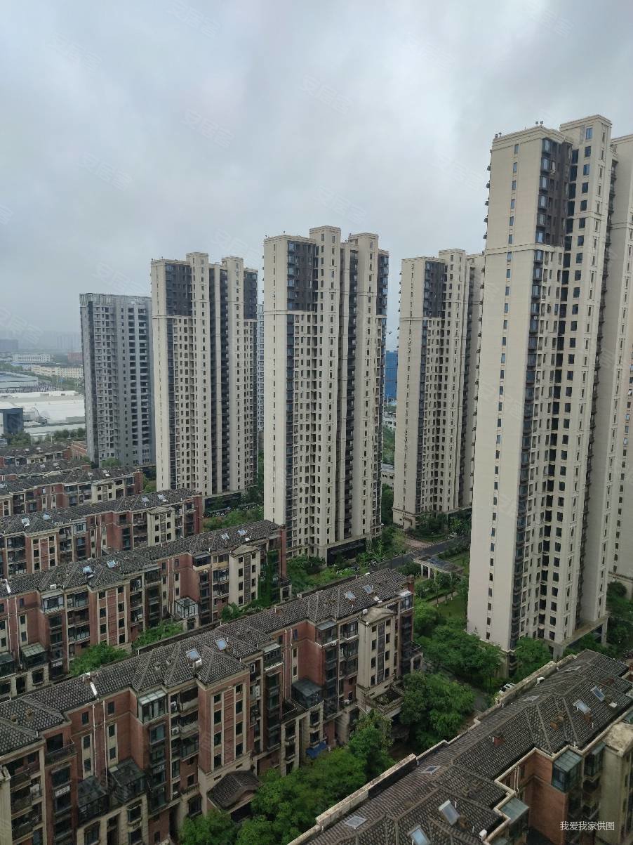 绿地悦公馆,电梯纯洋房,东端户,旁边就是南昌十中,大横厅