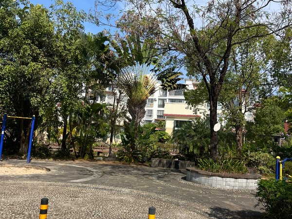 德宏芒市人民商场园丁小区广场旁园丁小区步梯四楼三室两厅两卫出租