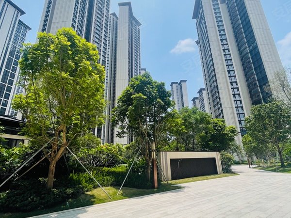 深圳南山桃源村深铁懿府一步华侨城 全新豪装未住 客厅南向大阳台 租