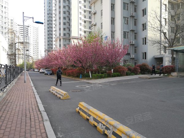 青岛崂山高科园东盛花园金地悦峰东盛花园精装全套家具家电套三 有