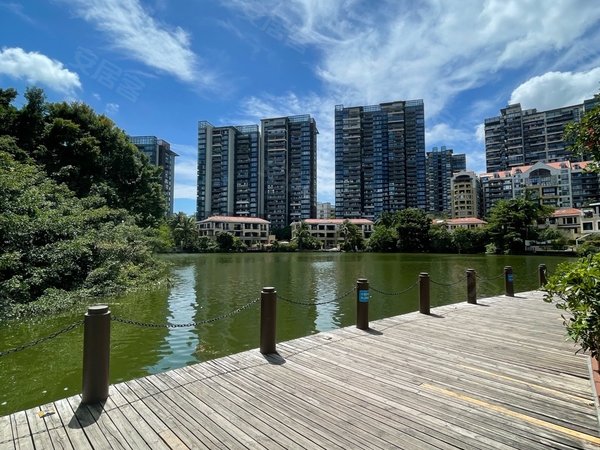 深圳南山华侨城波托菲诺纯水岸(十五期)房间多户型好 主次卧完全分开