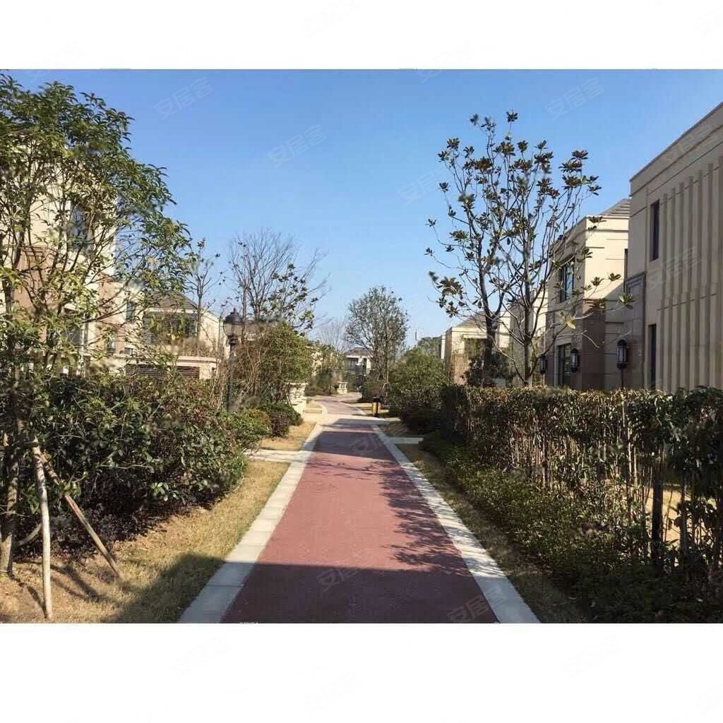 保利独墅西岸(别墅)5室3厅4卫325㎡南1500万