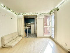 精装温馨小户型    太阳宫半岛国际公寓   可以预定