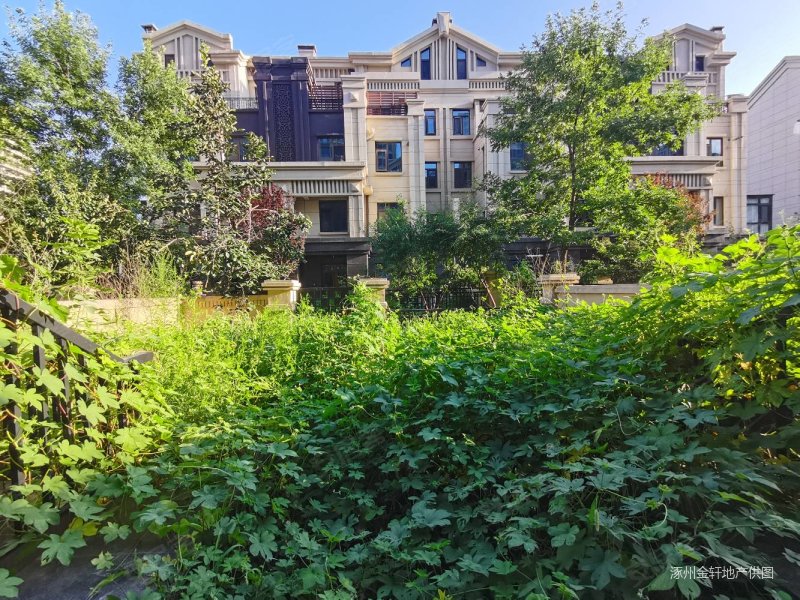 鸿坤理想湾别墅,带前后院子,房本满二,看房方便.